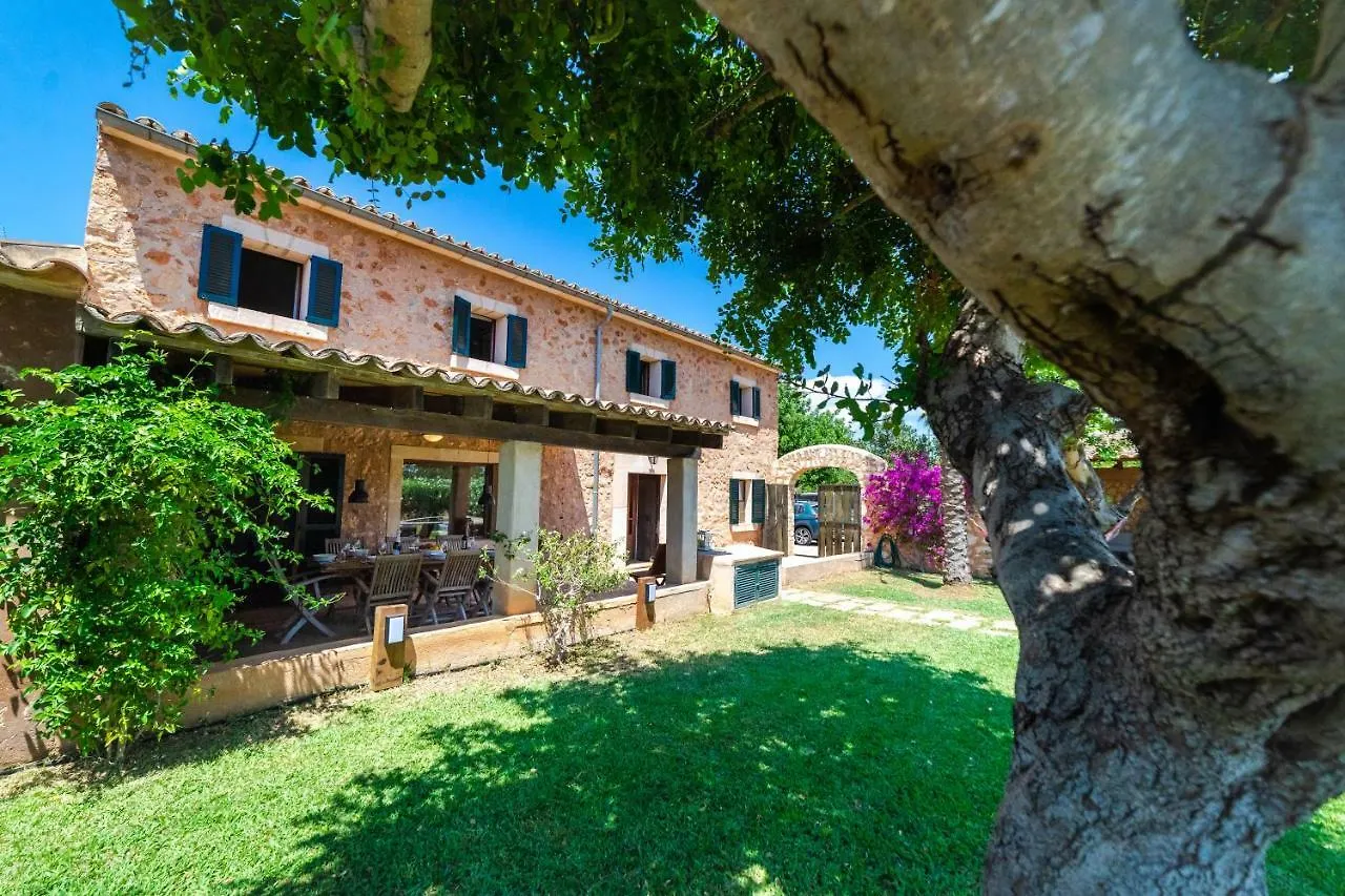 Villa Siscelis Santa Maria del Cami  Spain
